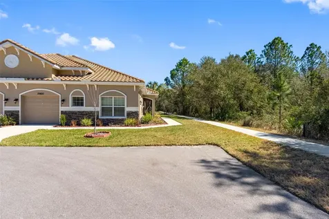29800 Anand Vihar Drive Wesley Chapel FL 33543