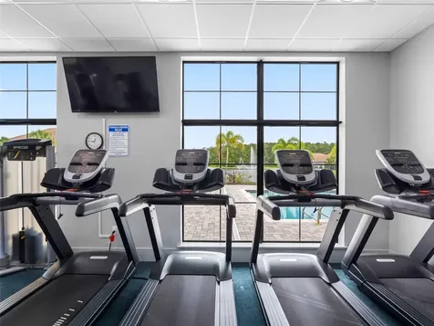 29800 Anand Vihar Drive Wesley Chapel FL 33543