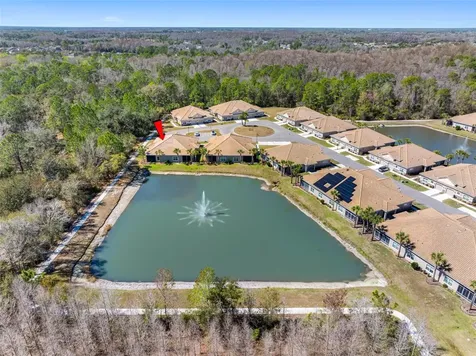 29800 Anand Vihar Drive Wesley Chapel FL 33543