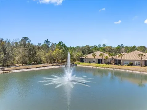 29800 Anand Vihar Drive Wesley Chapel FL 33543