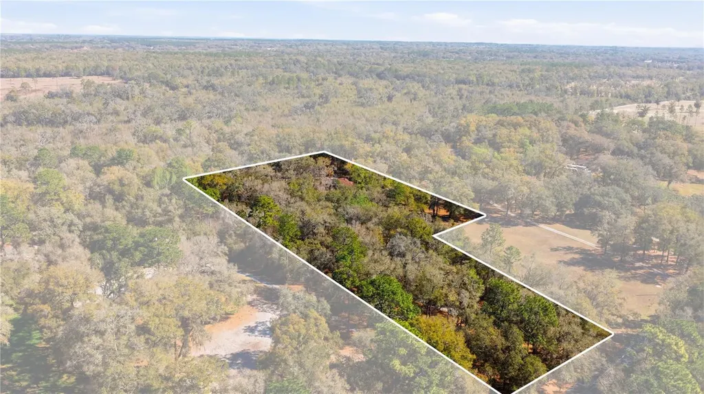 19 Northern Dancer Drive Ocala FL 34482