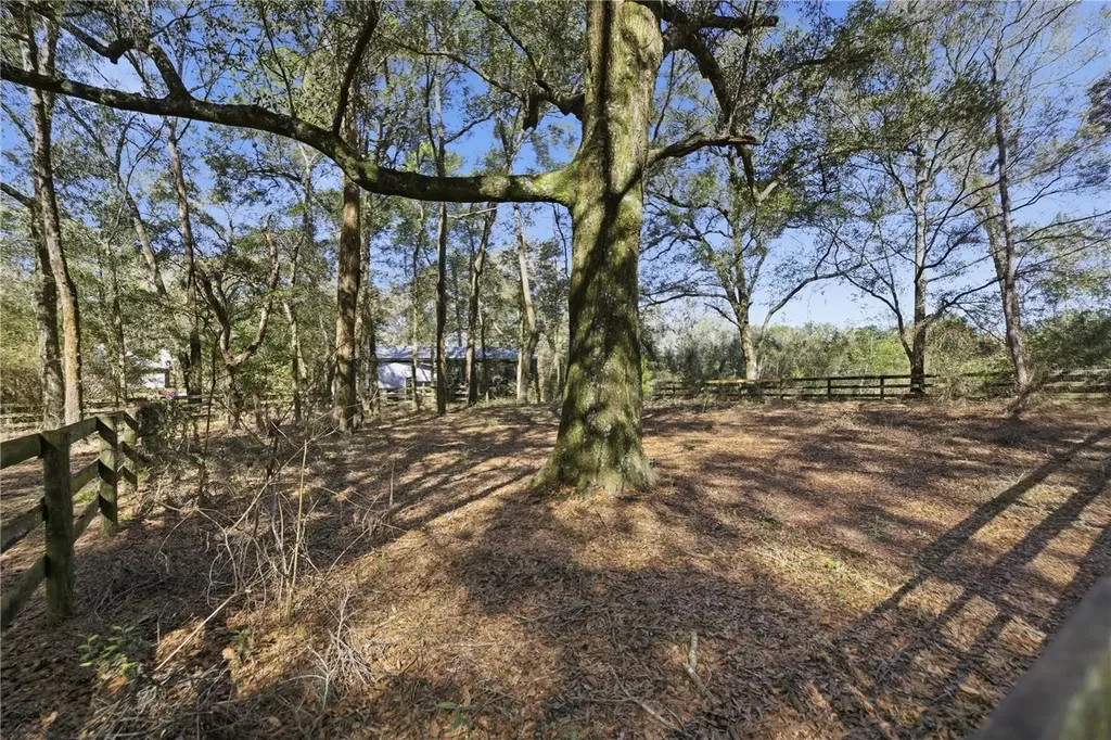 19 Northern Dancer Drive Ocala FL 34482