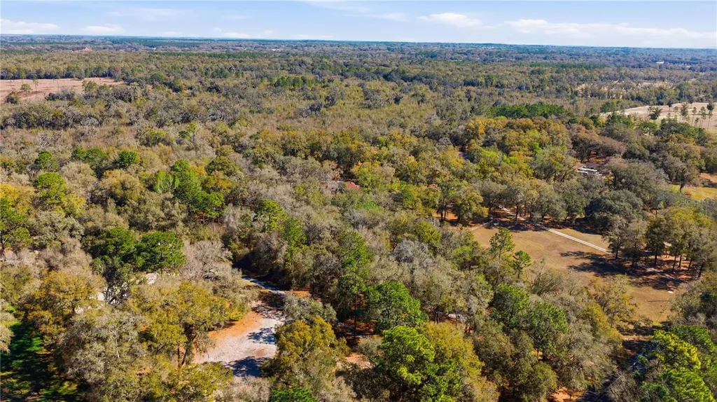 19 Northern Dancer Drive Ocala FL 34482