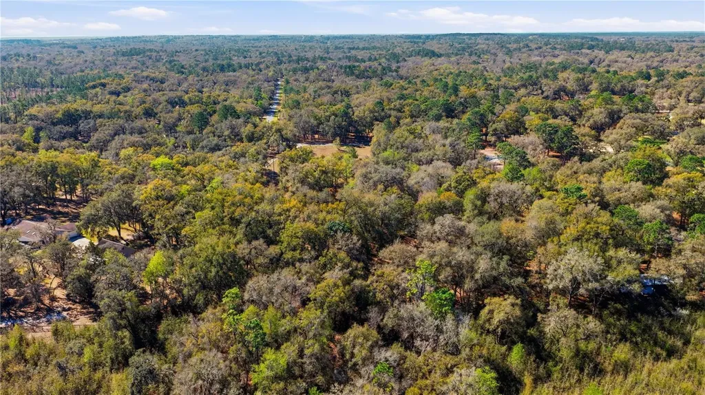 19 Northern Dancer Drive Ocala FL 34482