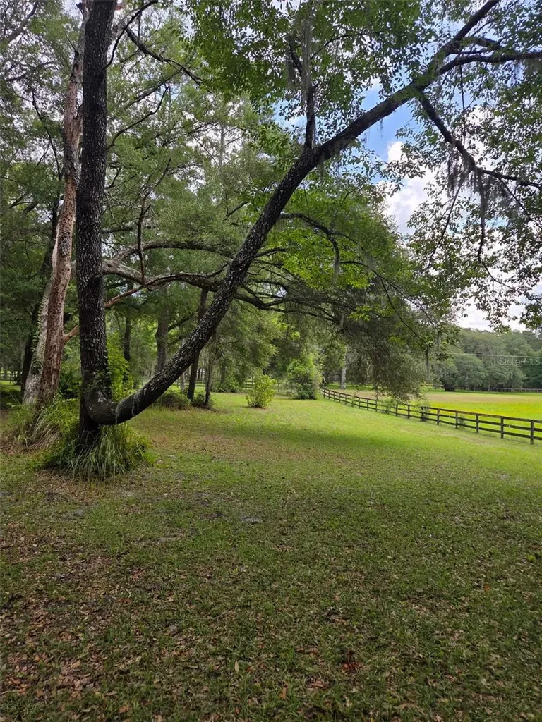 19 Northern Dancer Drive Ocala FL 34482