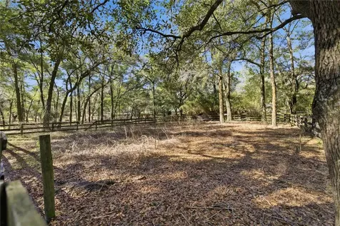 19 Northern Dancer Drive Ocala FL 34482