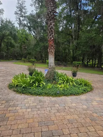 19 Northern Dancer Drive Ocala FL 34482