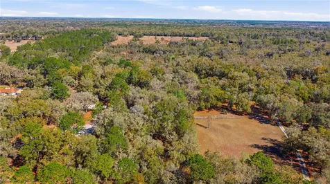 19 Northern Dancer Drive Ocala FL 34482