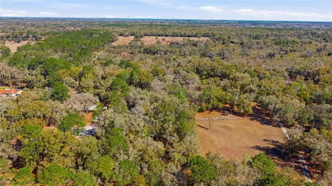 19 Northern Dancer Drive Ocala FL 34482