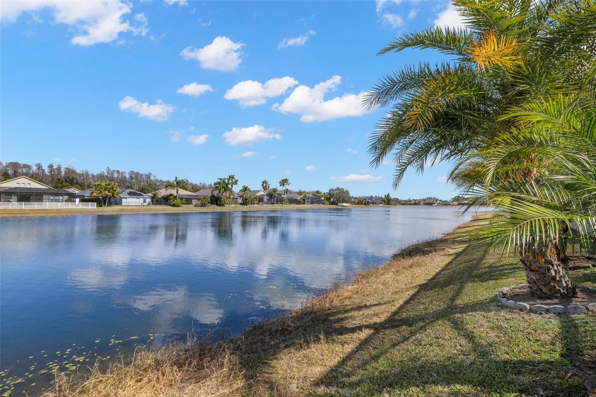 16501 Nikki Lane Odessa FL 33556