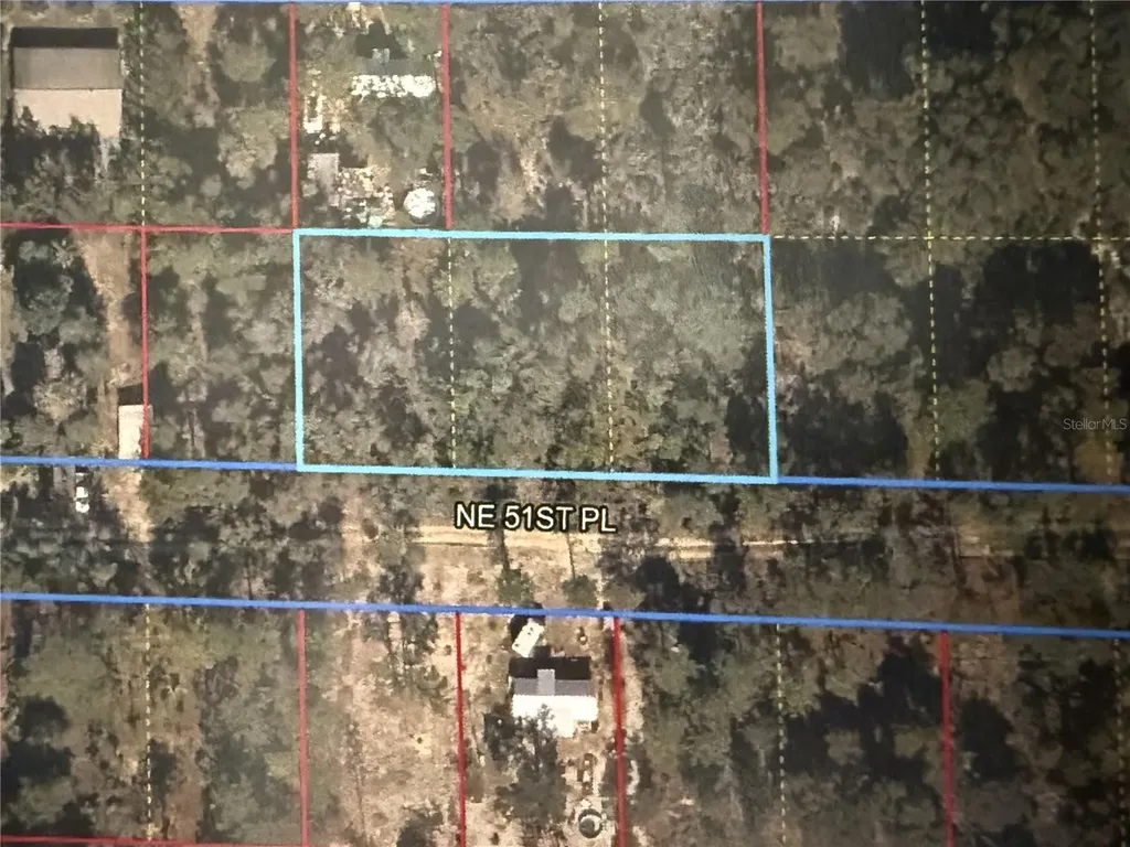 0 NE 51st Place Williston FL 32696