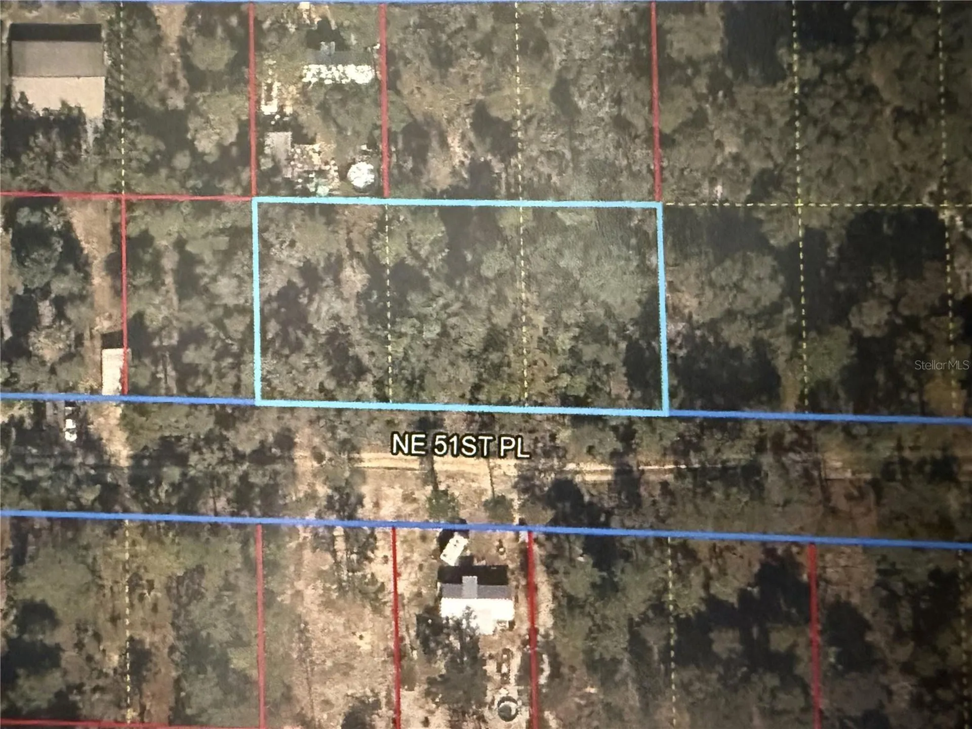 0 NE 51st Place Williston FL 32696