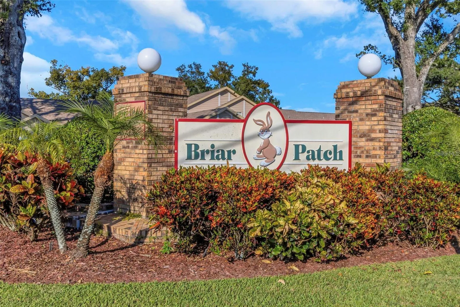 6424 Remus Drive New Port Richey FL 34653