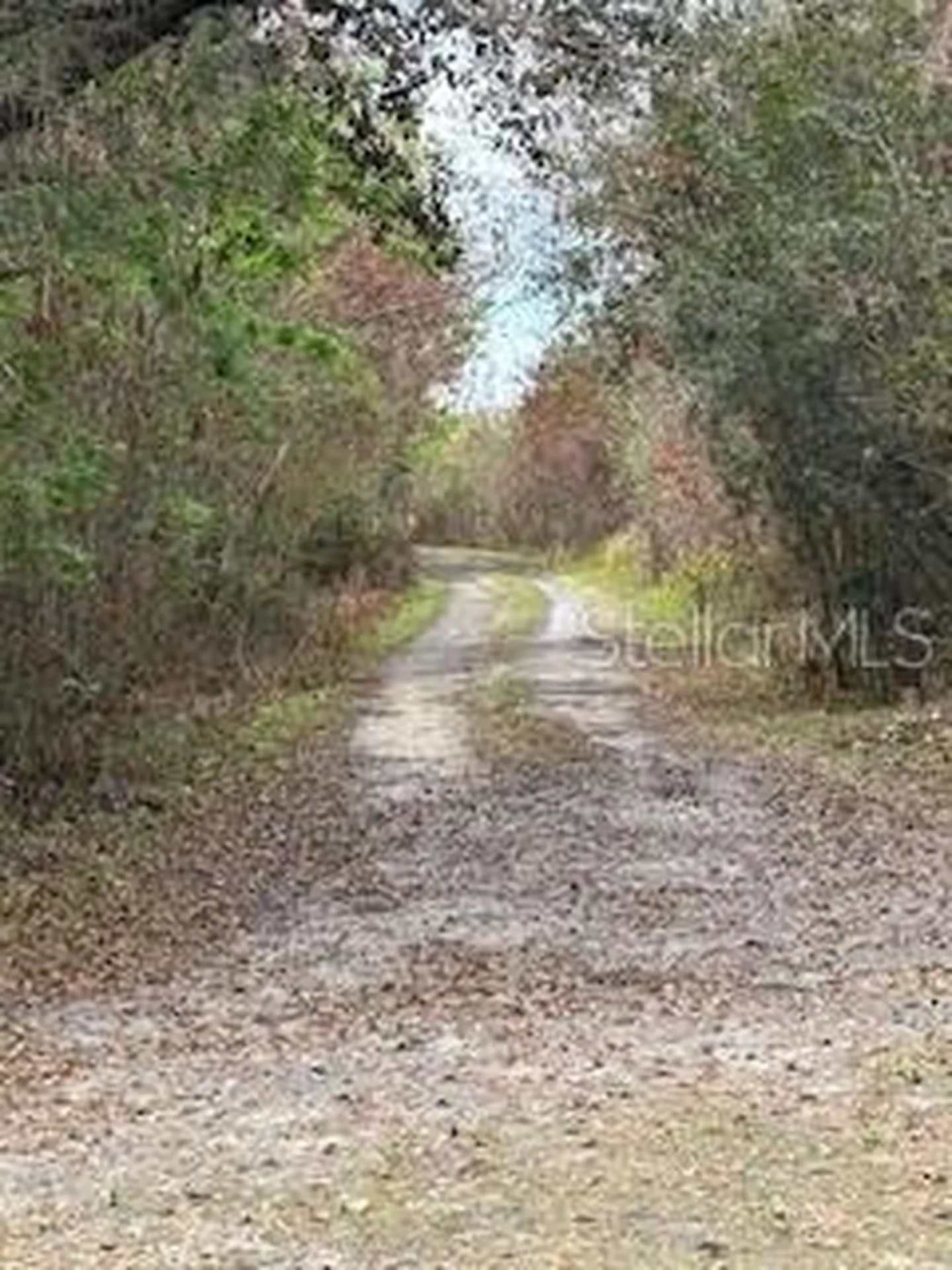 3095 Pastures Road Kissimmee FL 34746