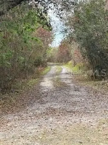 3095 Pastures Road Kissimmee FL 34746