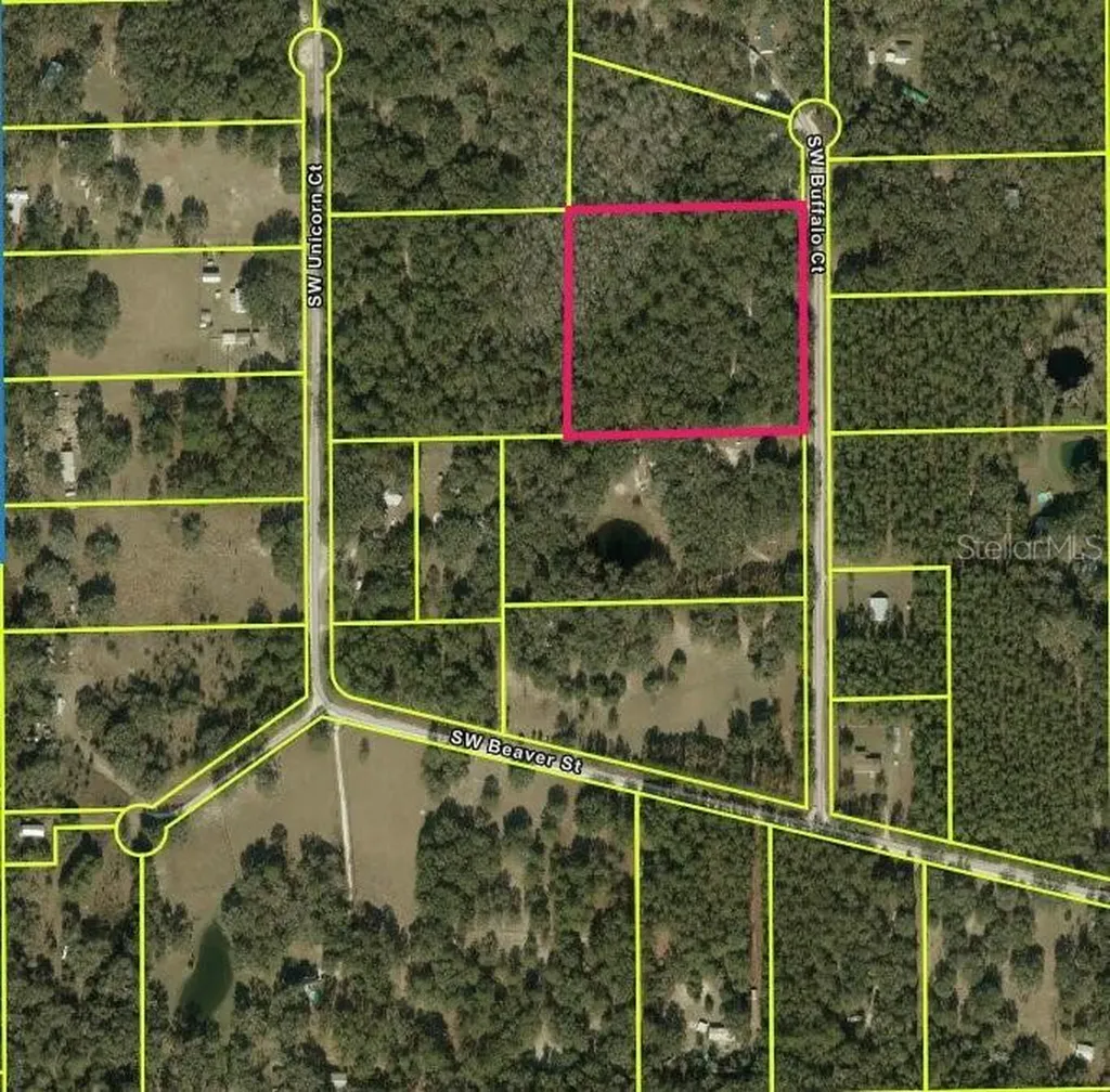 SW Buffalo Court Fort White FL 32038