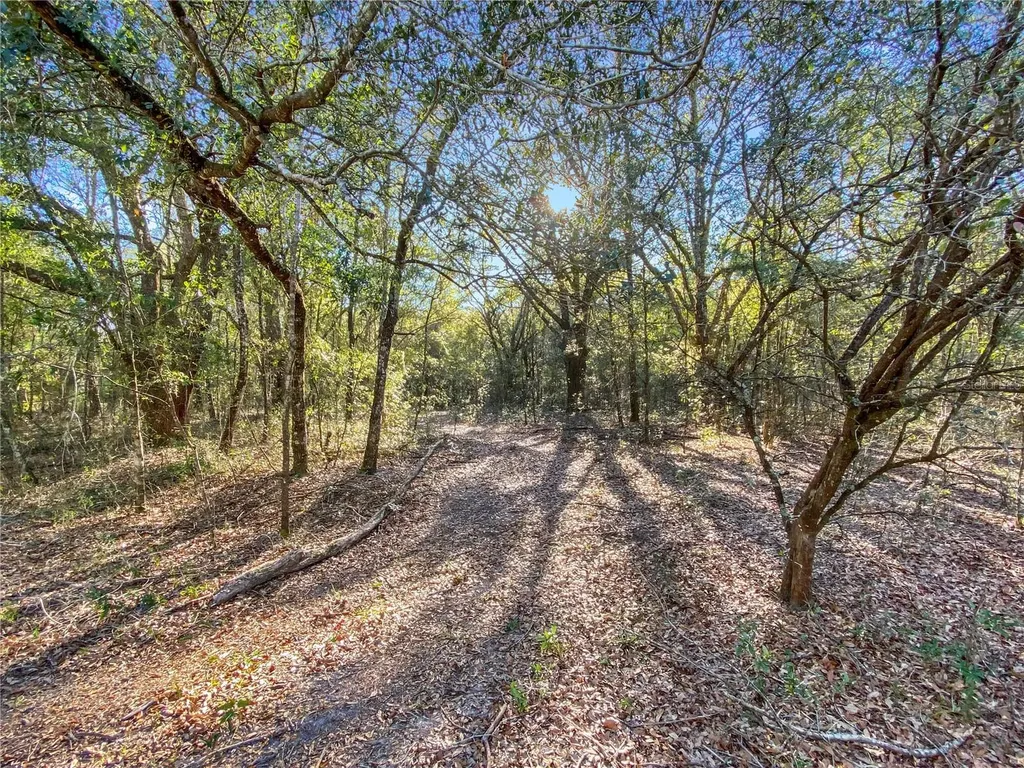 SW Buffalo Court Fort White FL 32038