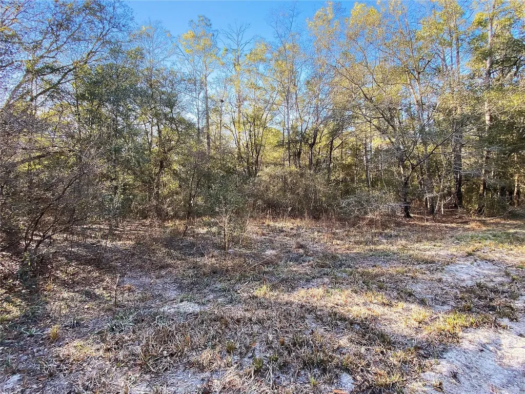 SW Buffalo Court Fort White FL 32038