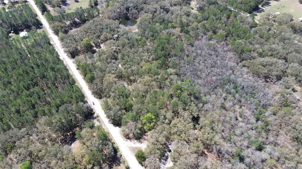SW Buffalo Court Fort White FL 32038