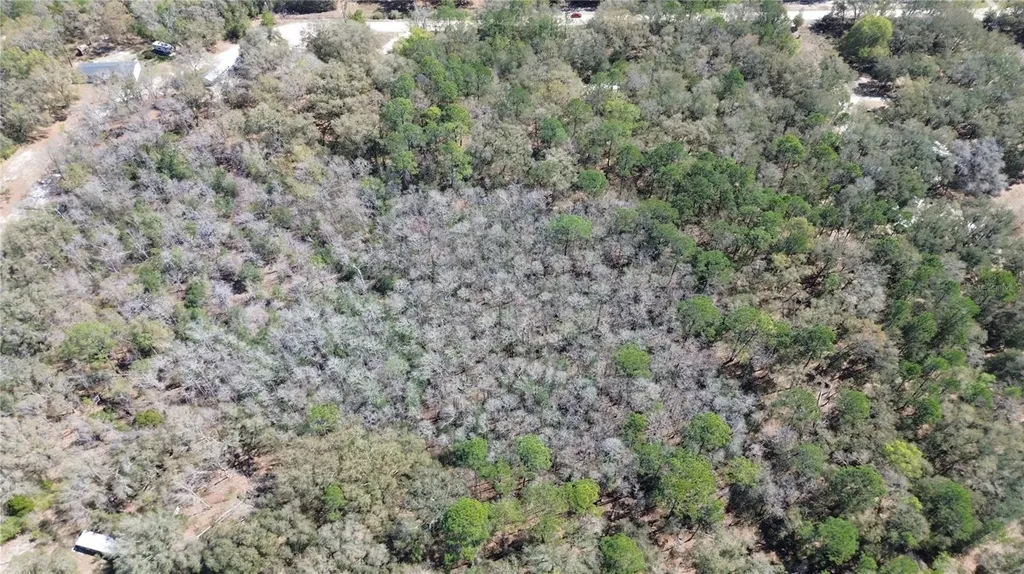 SW Buffalo Court Fort White FL 32038