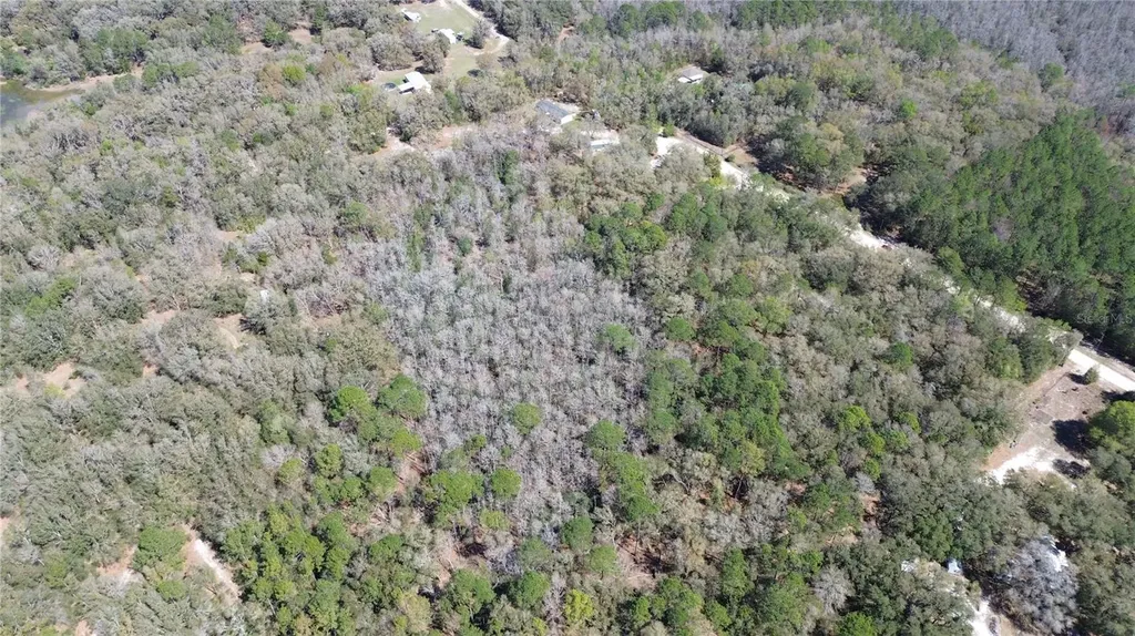 SW Buffalo Court Fort White FL 32038