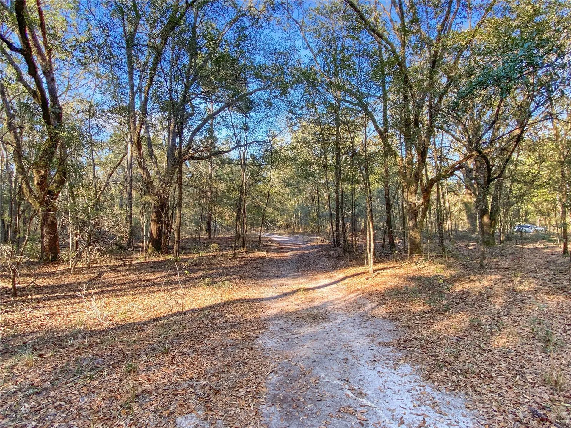 SW Buffalo Court Fort White FL 32038