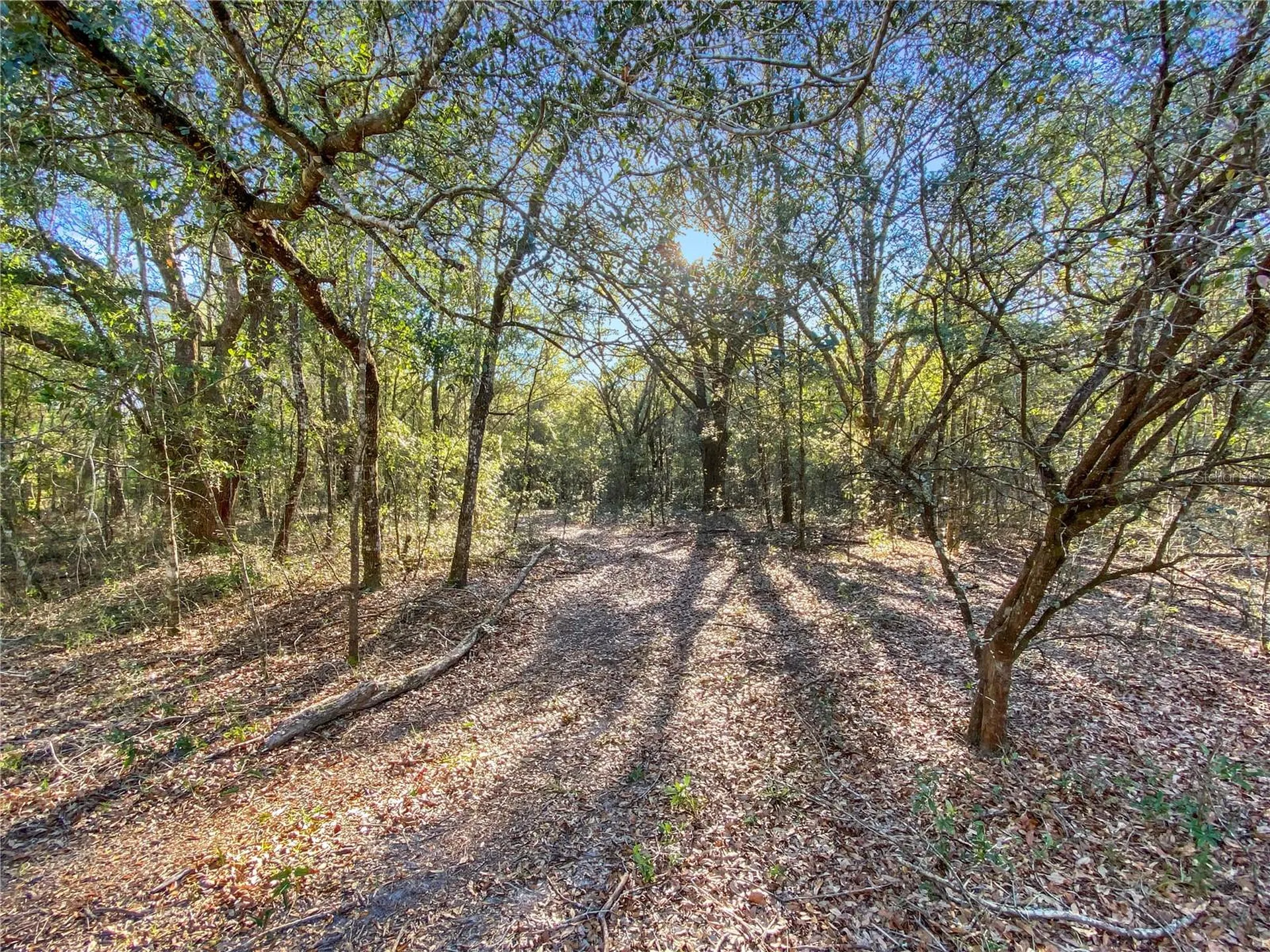 SW Buffalo Court Fort White FL 32038