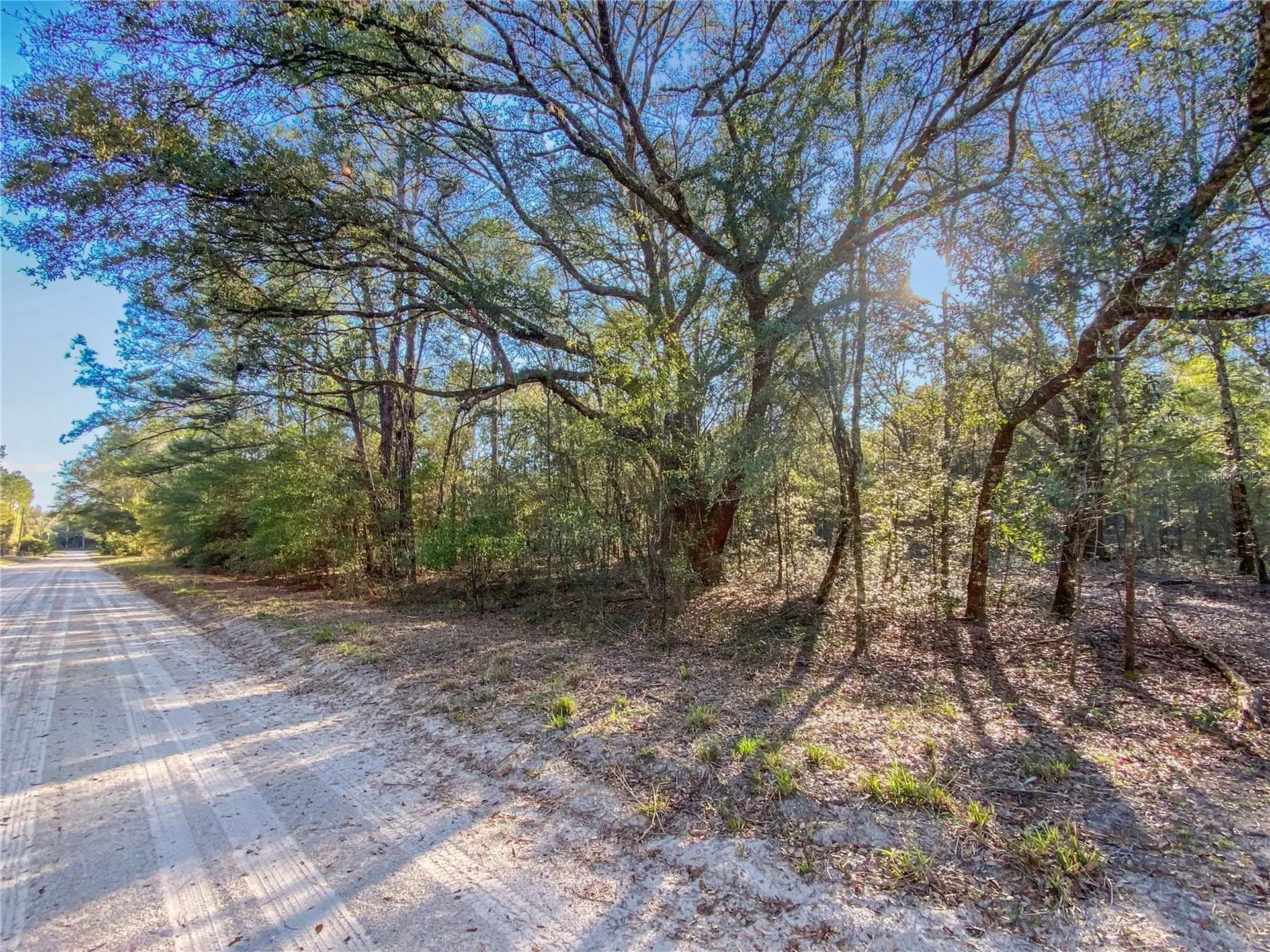 SW Buffalo Court Fort White FL 32038