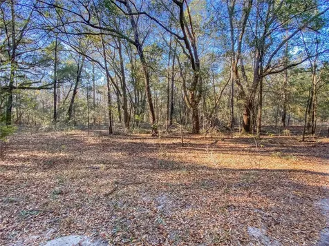 SW Buffalo Court Fort White FL 32038