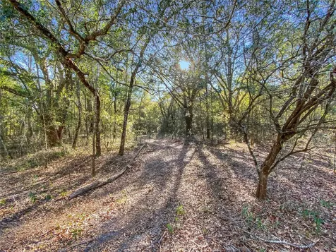 SW Buffalo Court Fort White FL 32038