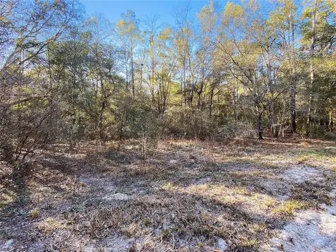 SW Buffalo Court Fort White FL 32038