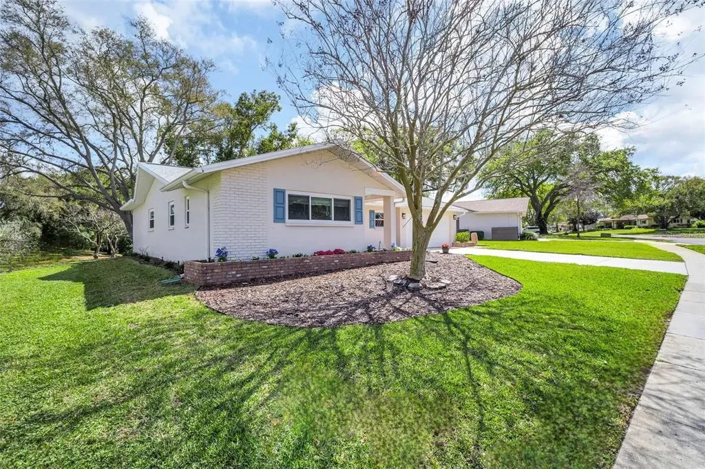 1223 Timberbrooke Drive Palm Harbor FL 34684