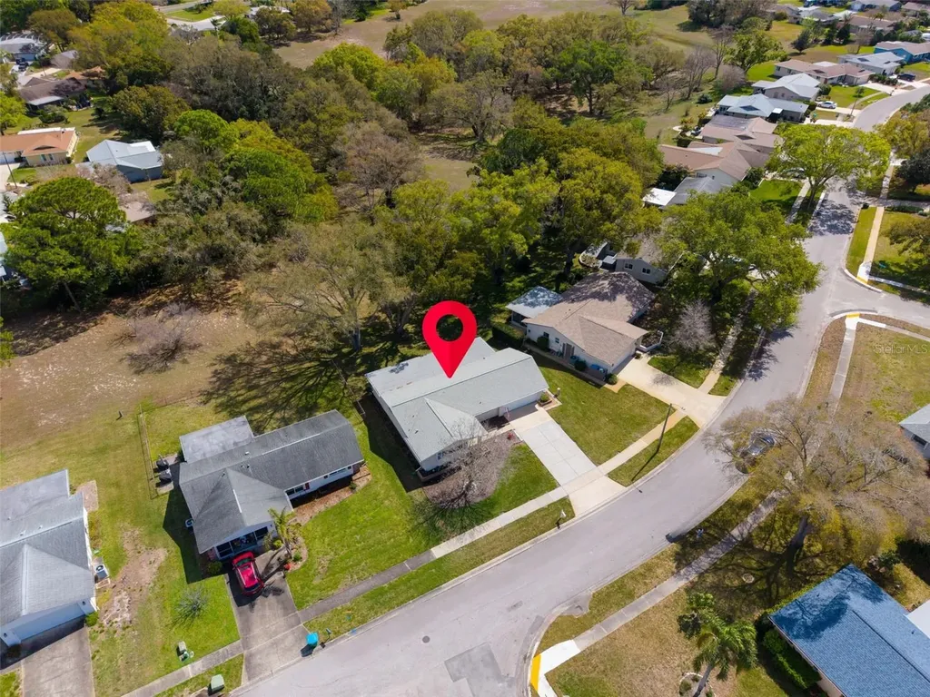 1223 Timberbrooke Drive Palm Harbor FL 34684