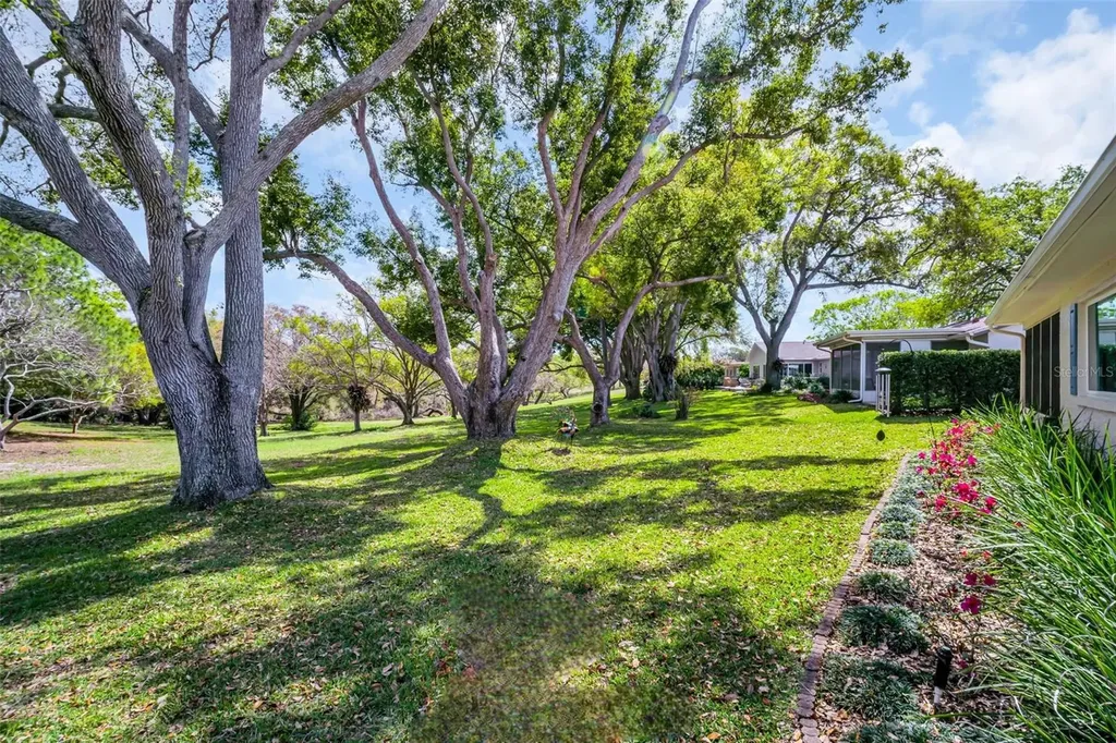 1223 Timberbrooke Drive Palm Harbor FL 34684