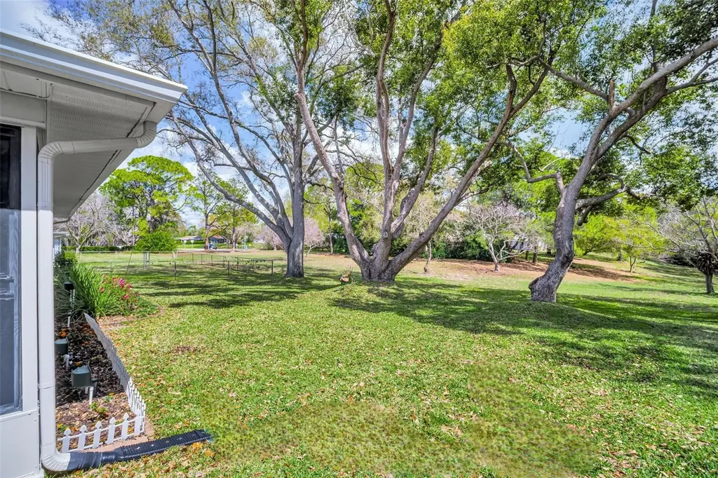 1223 Timberbrooke Drive Palm Harbor FL 34684