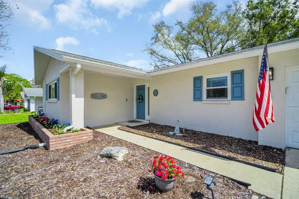 1223 Timberbrooke Drive Palm Harbor FL 34684