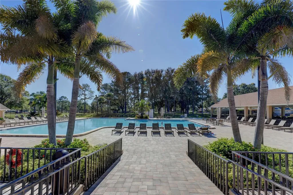 1223 Timberbrooke Drive Palm Harbor FL 34684