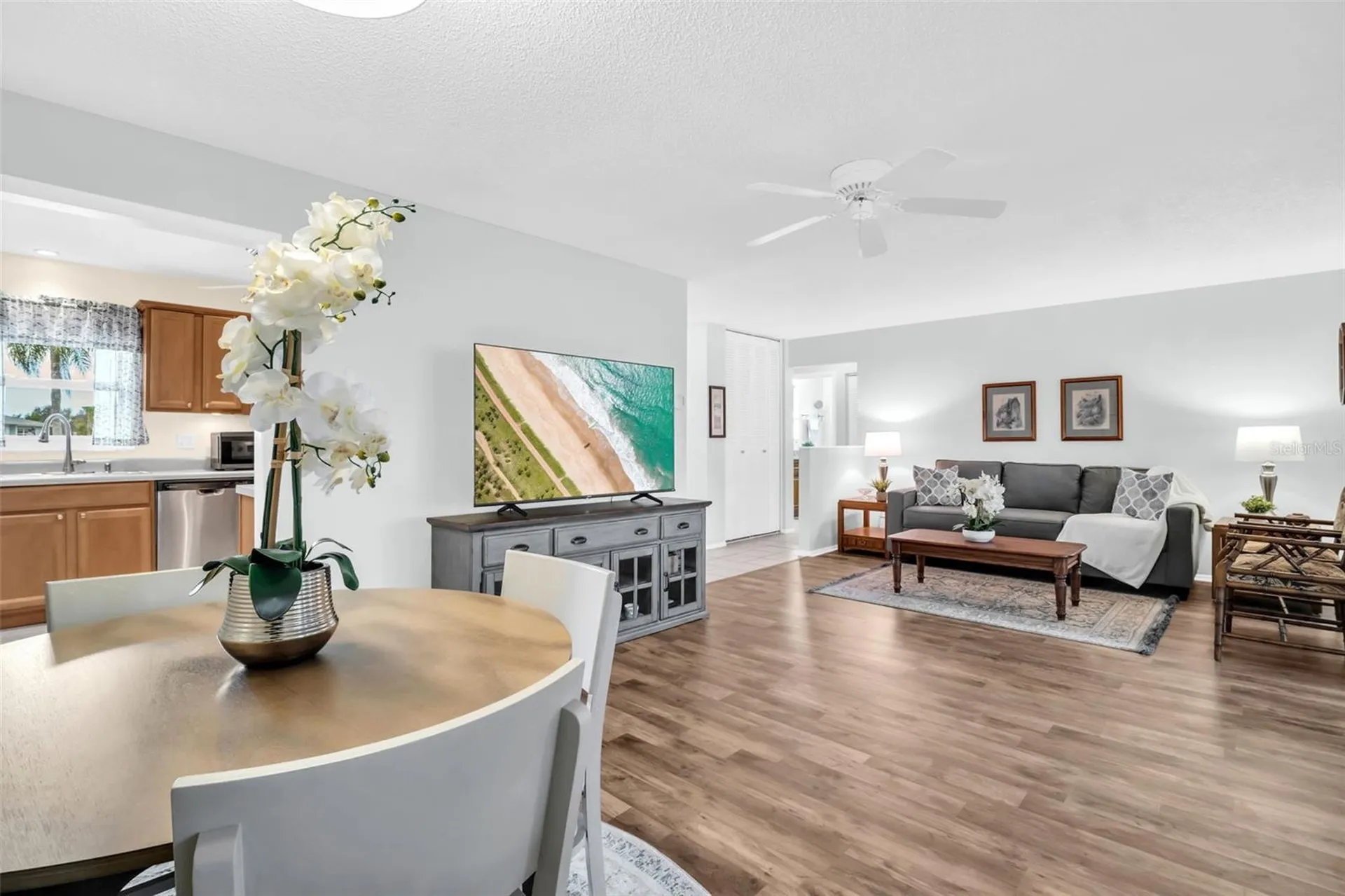1223 Timberbrooke Drive Palm Harbor FL 34684