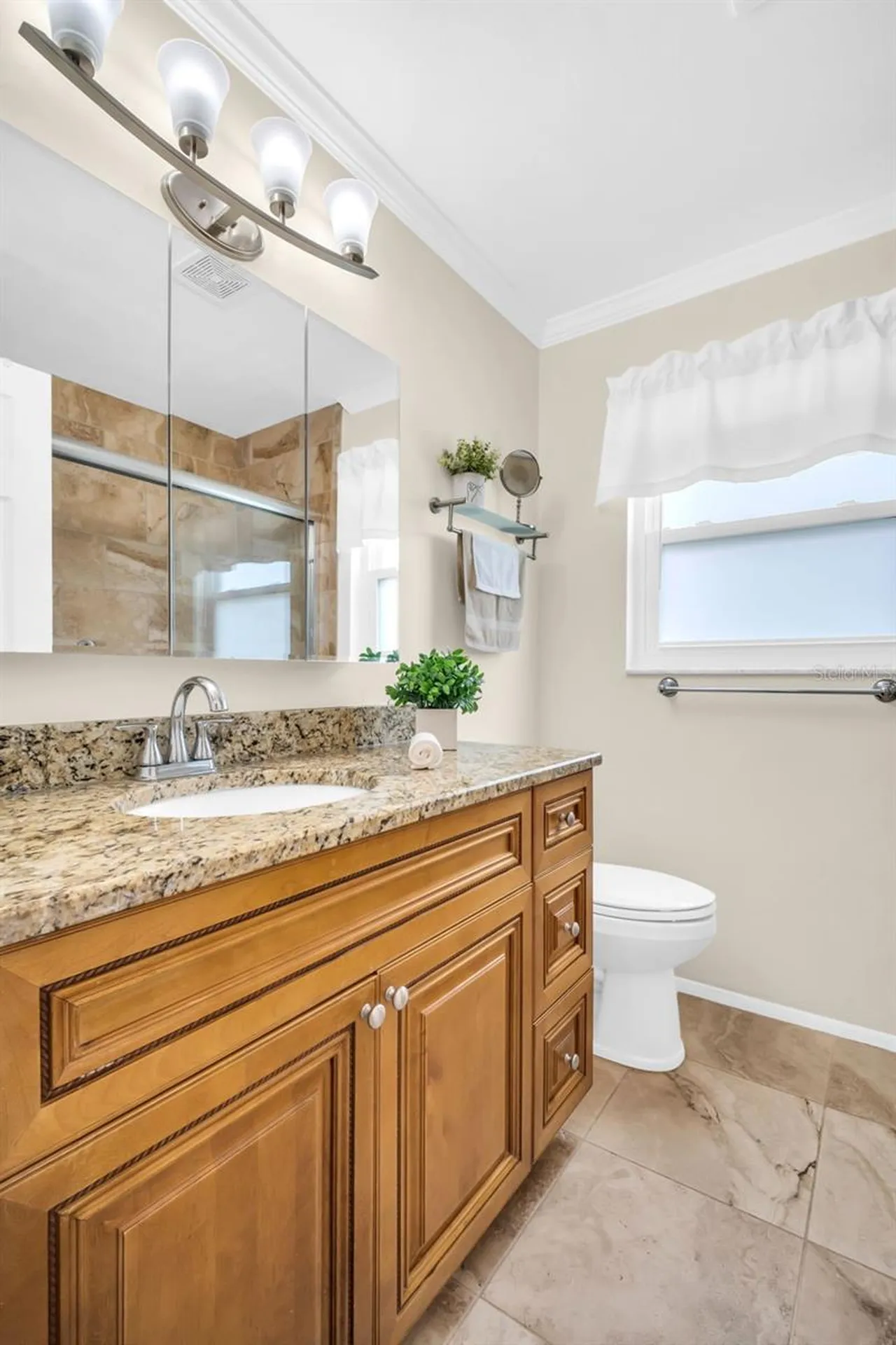 1223 Timberbrooke Drive Palm Harbor FL 34684