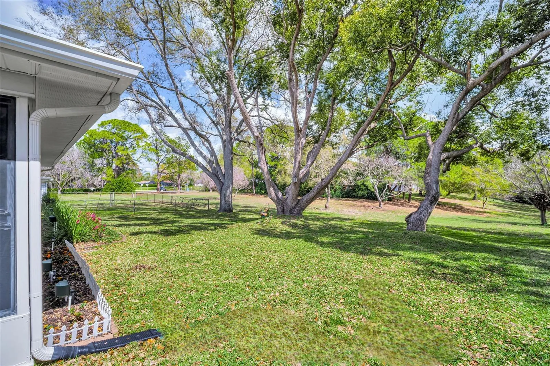 1223 Timberbrooke Drive Palm Harbor FL 34684