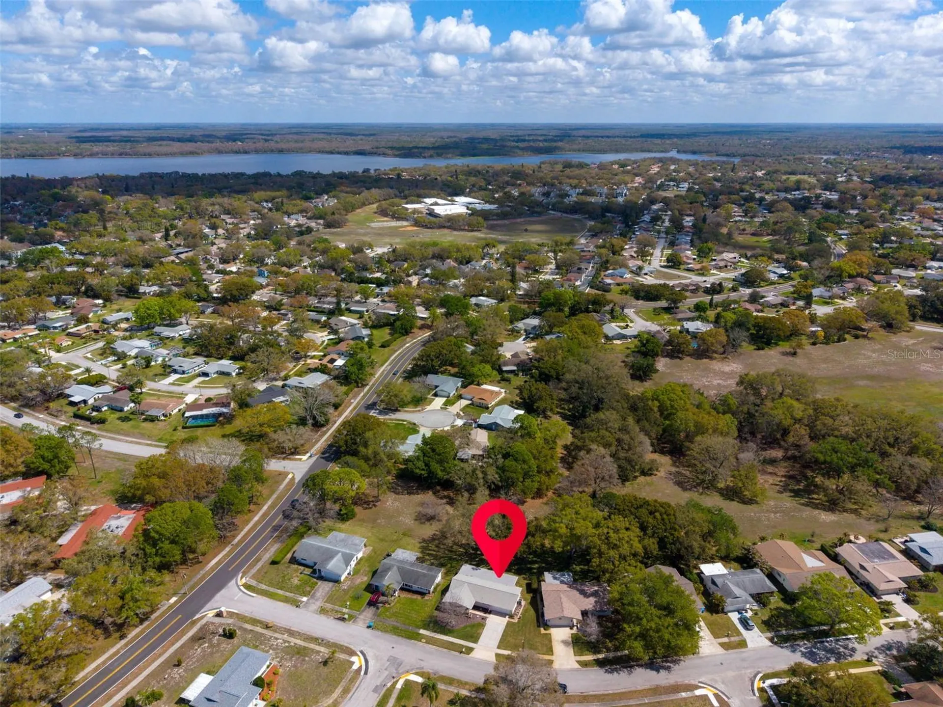 1223 Timberbrooke Drive Palm Harbor FL 34684