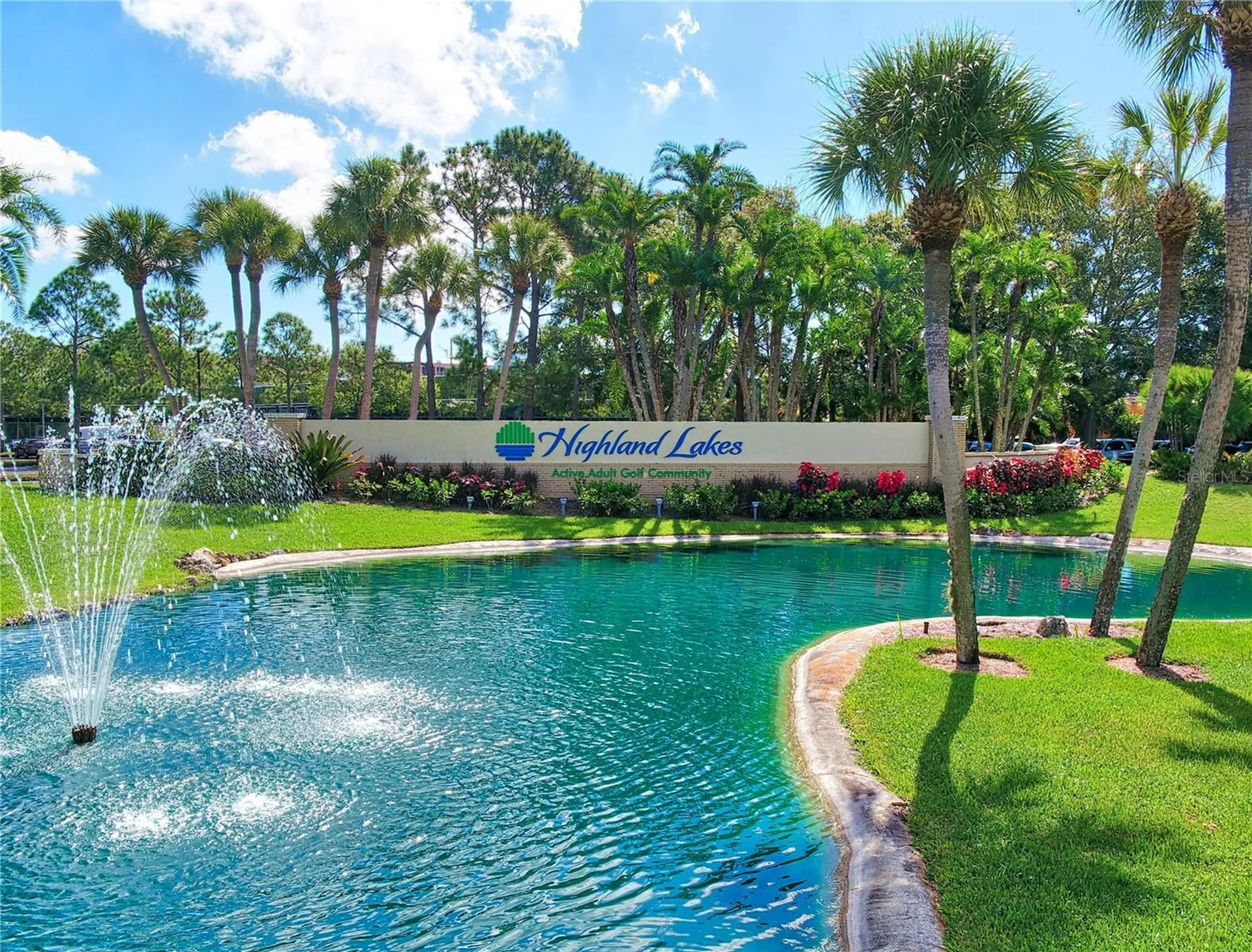 1223 Timberbrooke Drive Palm Harbor FL 34684