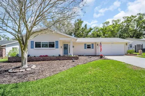 1223 Timberbrooke Drive Palm Harbor FL 34684