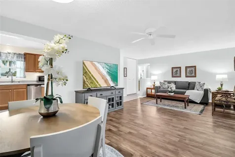 1223 Timberbrooke Drive Palm Harbor FL 34684