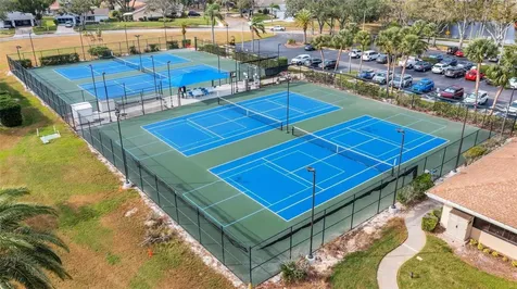 1223 Timberbrooke Drive Palm Harbor FL 34684