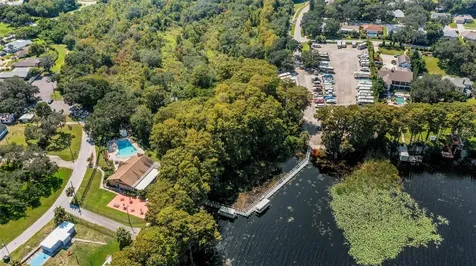 1223 Timberbrooke Drive Palm Harbor FL 34684