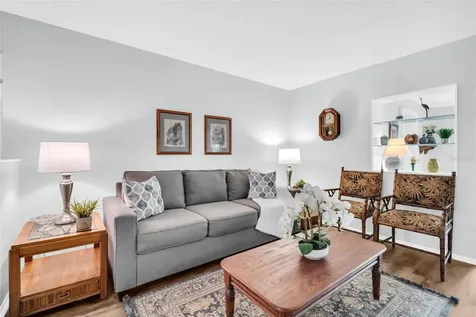 1223 Timberbrooke Drive Palm Harbor FL 34684