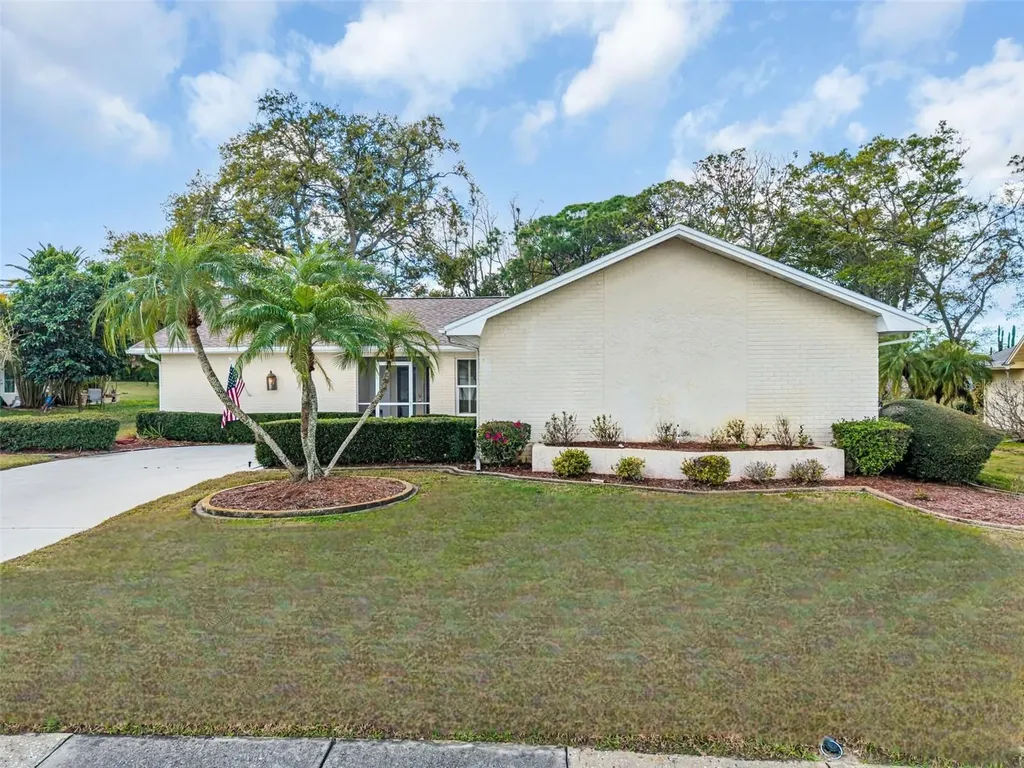 3132 Brunswick Circle Palm Harbor FL 34684
