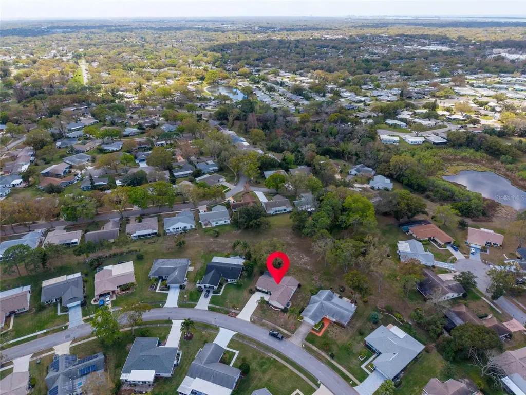 3132 Brunswick Circle Palm Harbor FL 34684