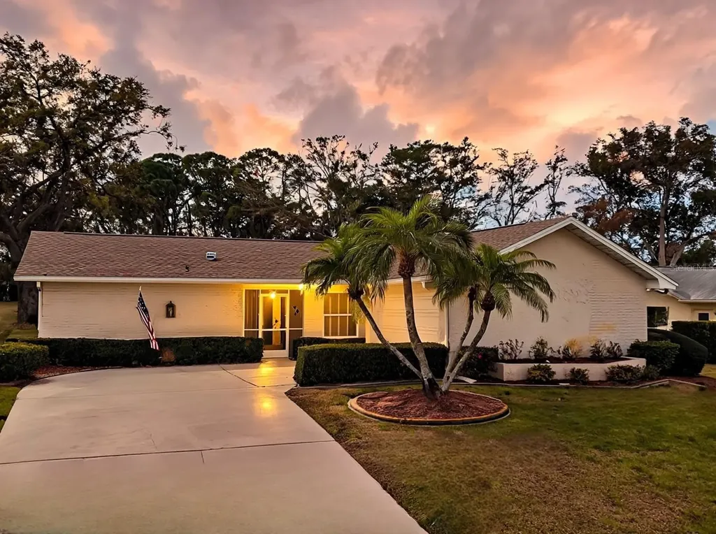 3132 Brunswick Circle Palm Harbor FL 34684